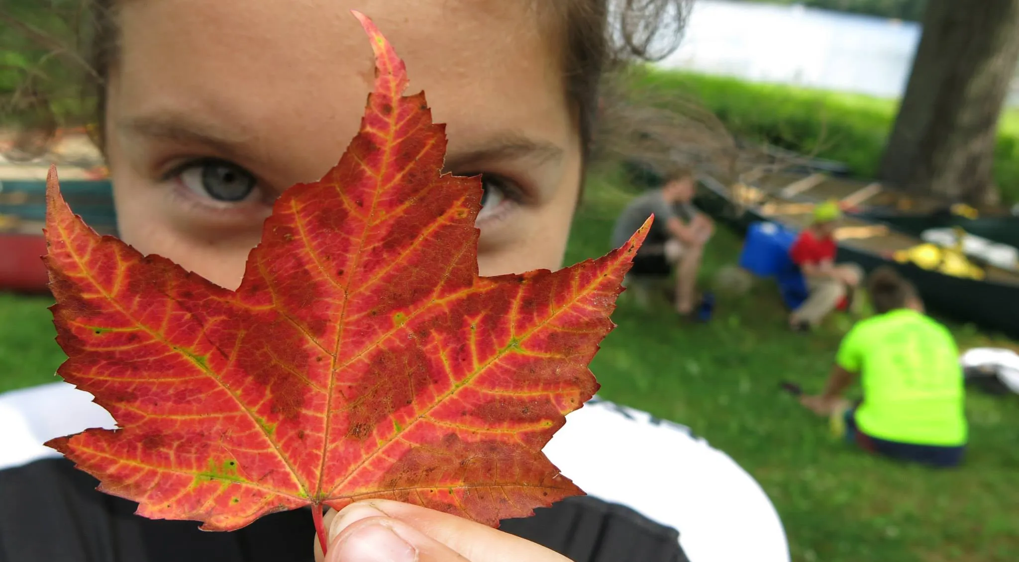 Kids in nature